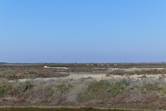 DSC_0070_DxO