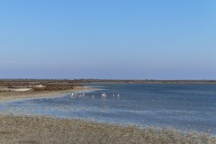 DSC_0077_DxO