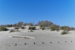 DSC_0116_DxO
