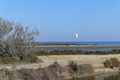 DSC_0178_DxO
