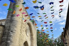 IMG_8667_DxO