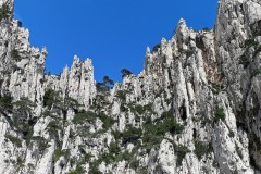 DSC_6084_DxO