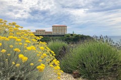 IMG_9479