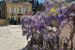 IMG_5141_DxO