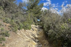 IMG_5170_DxO