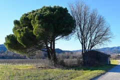 DSC_5631_DxO