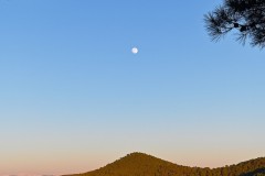 DSC_5697_DxO