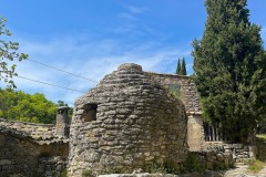 IMG_5130