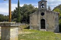 IMG_5132