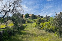 IMG_5158