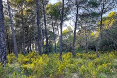 IMG_3902
