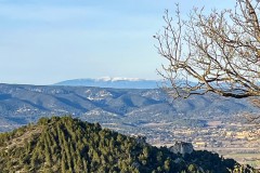 IMG_3910