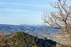 IMG_3911