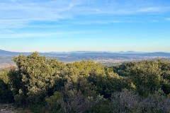 IMG_3913