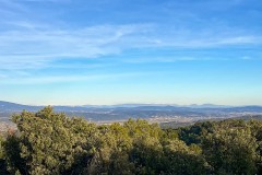 IMG_3914