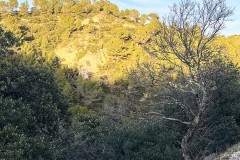 IMG_3929
