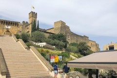 IMG_9397