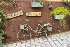 IMG_2039_DxO