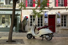 IMG_2048_DxO