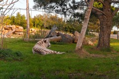 DSC_3044_DxO